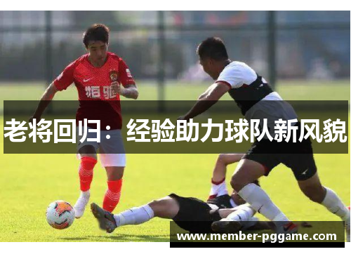 老将回归：经验助力球队新风貌
