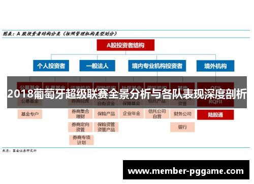 2018葡萄牙超级联赛全景分析与各队表现深度剖析