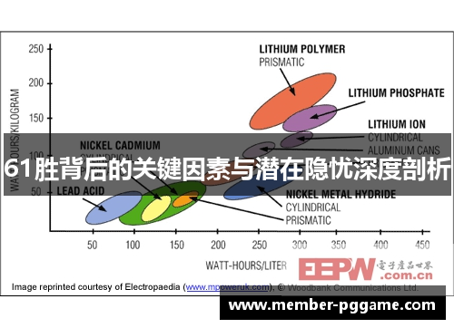 61胜背后的关键因素与潜在隐忧深度剖析