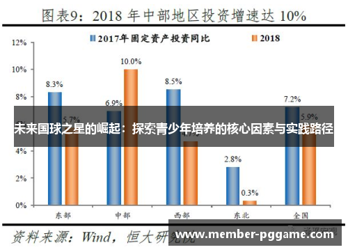 未来国球之星的崛起：探索青少年培养的核心因素与实践路径