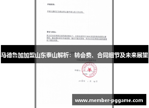 马德鲁加加盟山东泰山解析：转会费、合同细节及未来展望