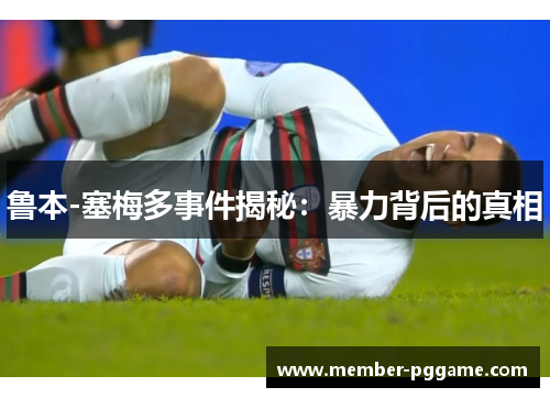 鲁本-塞梅多事件揭秘：暴力背后的真相