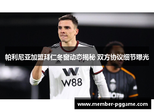 帕利尼亚加盟拜仁冬窗动态揭秘 双方协议细节曝光