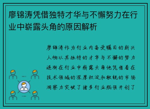 廖锦涛凭借独特才华与不懈努力在行业中崭露头角的原因解析